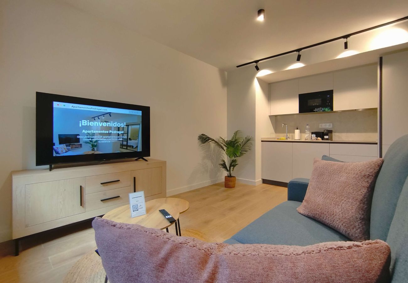 Apartamento en Oviedo - Oviedo Centro ApartamentosPedregal Superior
