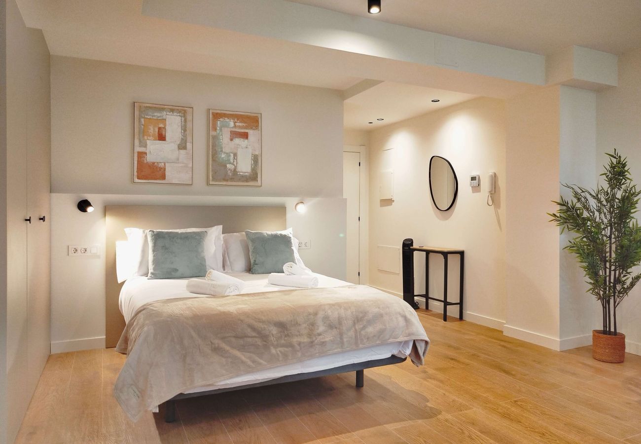 Apartamento en Oviedo - Oviedo Centro ApartamentosPedregal Urban Suite