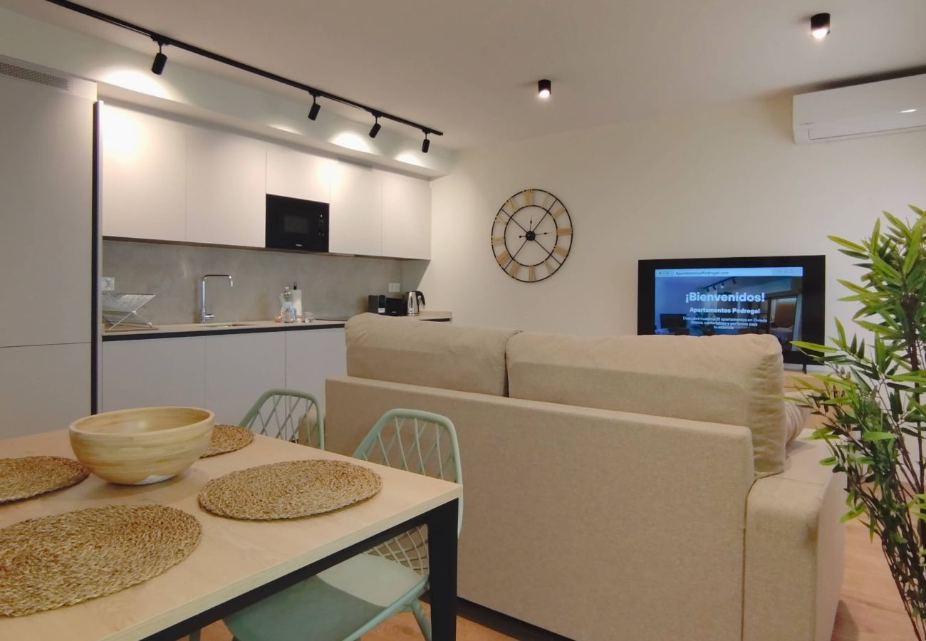 Apartamento en Oviedo - Oviedo Centro ApartamentosPedregal Urban Plus